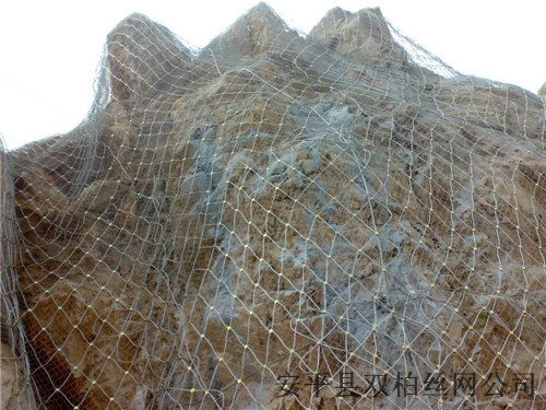 邊坡主動防護網，主動防護網那里質量好原始圖片2