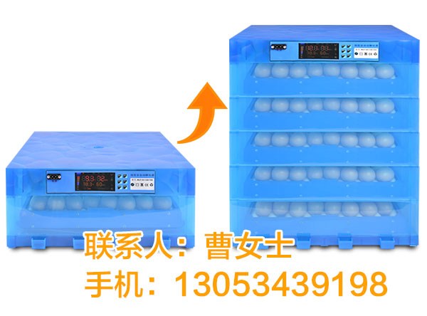 鸭蛋孵化周期_鸭蛋_梦科机械(在线咨询)