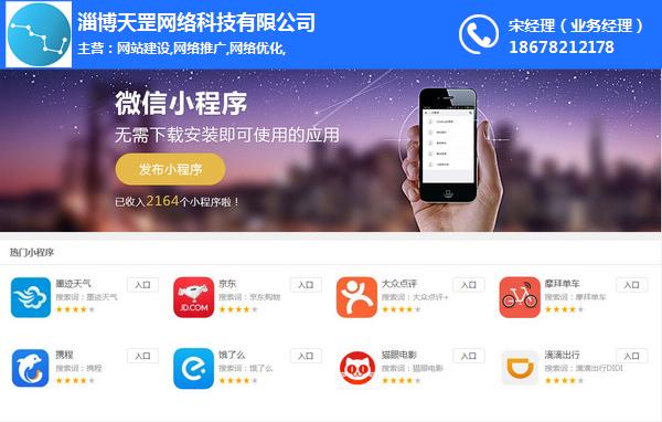 小程序开发|小程序|天罡网络(图)
