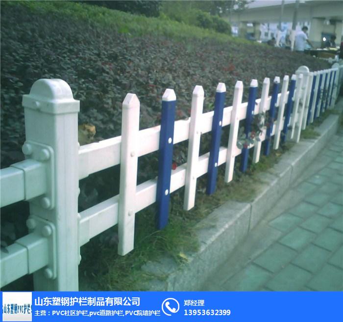 南充柵欄,山東塑鋼護欄(在線咨詢),鋼質道路柵欄批發