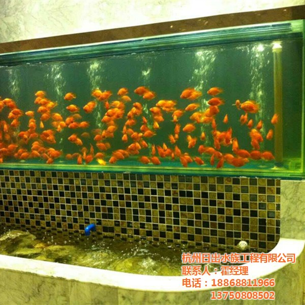 大型亞克力魚缸定做、日出水族您的選擇、溫州大型亞克力魚缸