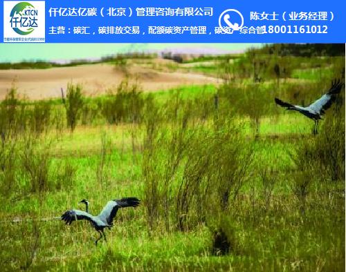 碳匯、仟億達(dá)碳匯(圖)、竹林碳匯