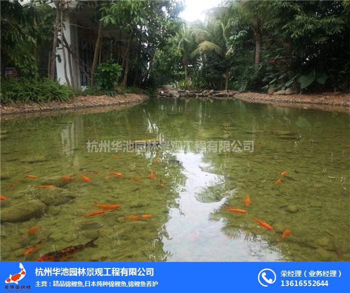 景觀水處理設(shè)備_常山景觀水處理_杭州華池園林(查看)