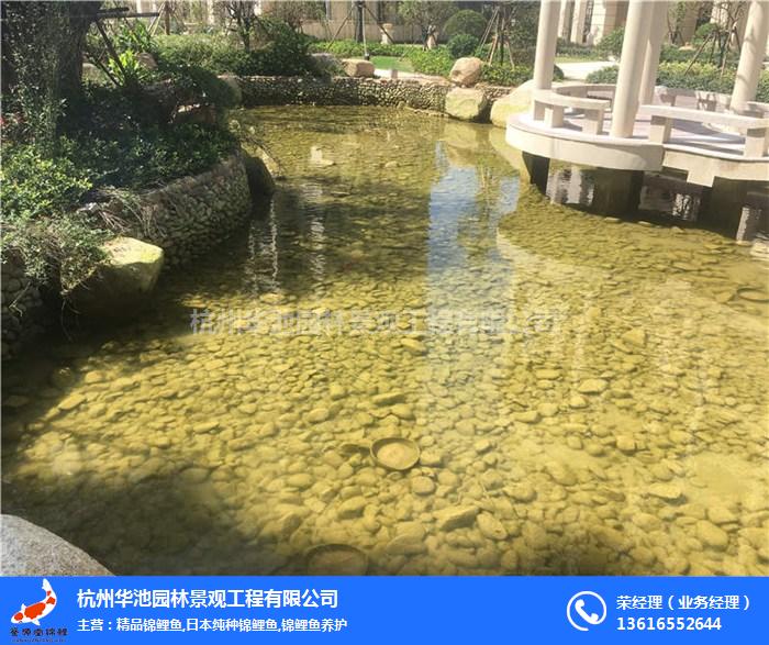 杭州華池園林(圖),景觀水處理技術(shù),紹興景觀水處理