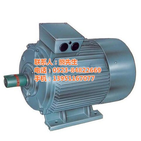 高壓電機(jī)_大中電機(jī)_高壓電機(jī)接線柱