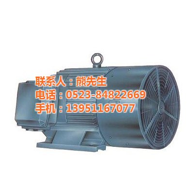 異步電動機,三相交流異步電動機,大中電機(多圖)