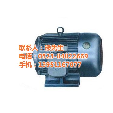 高壓電機_大中電機_高壓電機接線盒
