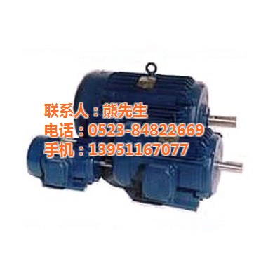 3相異步電動機|異步電動機|大中電機