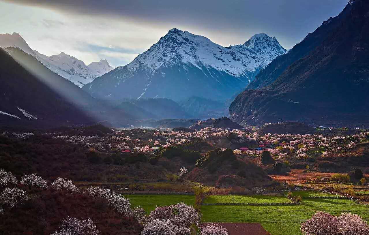 魯朗國際旅游小鎮度假村