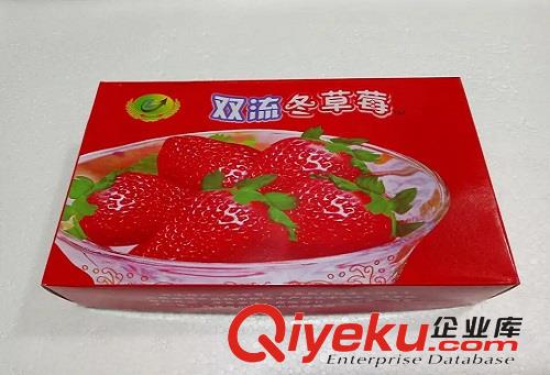  丹東草莓