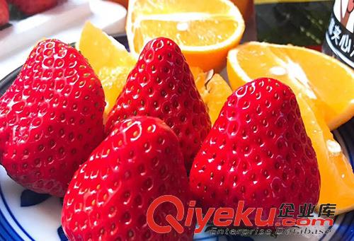 草莓批發多少錢一斤