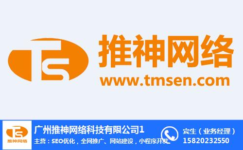 推神网络(图)|seo网络全网营销系统|全网营销