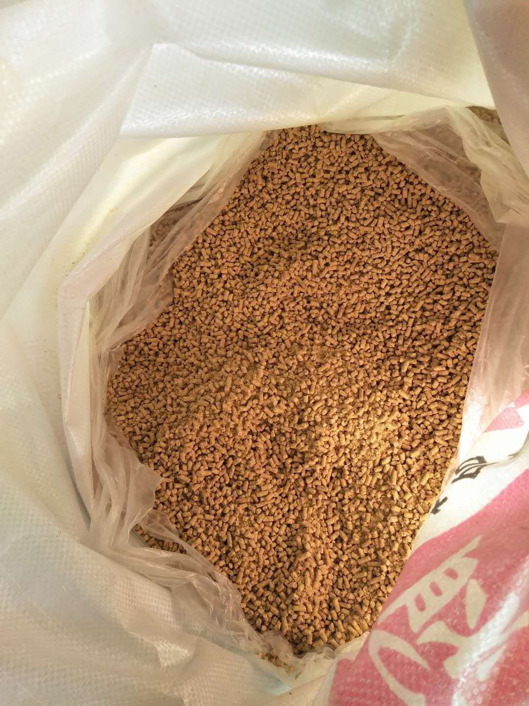 犢牛不吃奶怎么辦