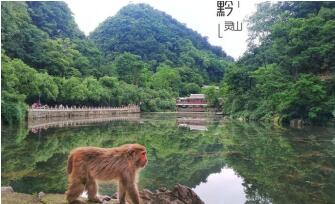 貴州旅行產(chǎn)品景點(diǎn)說(shuō)明原始圖片2