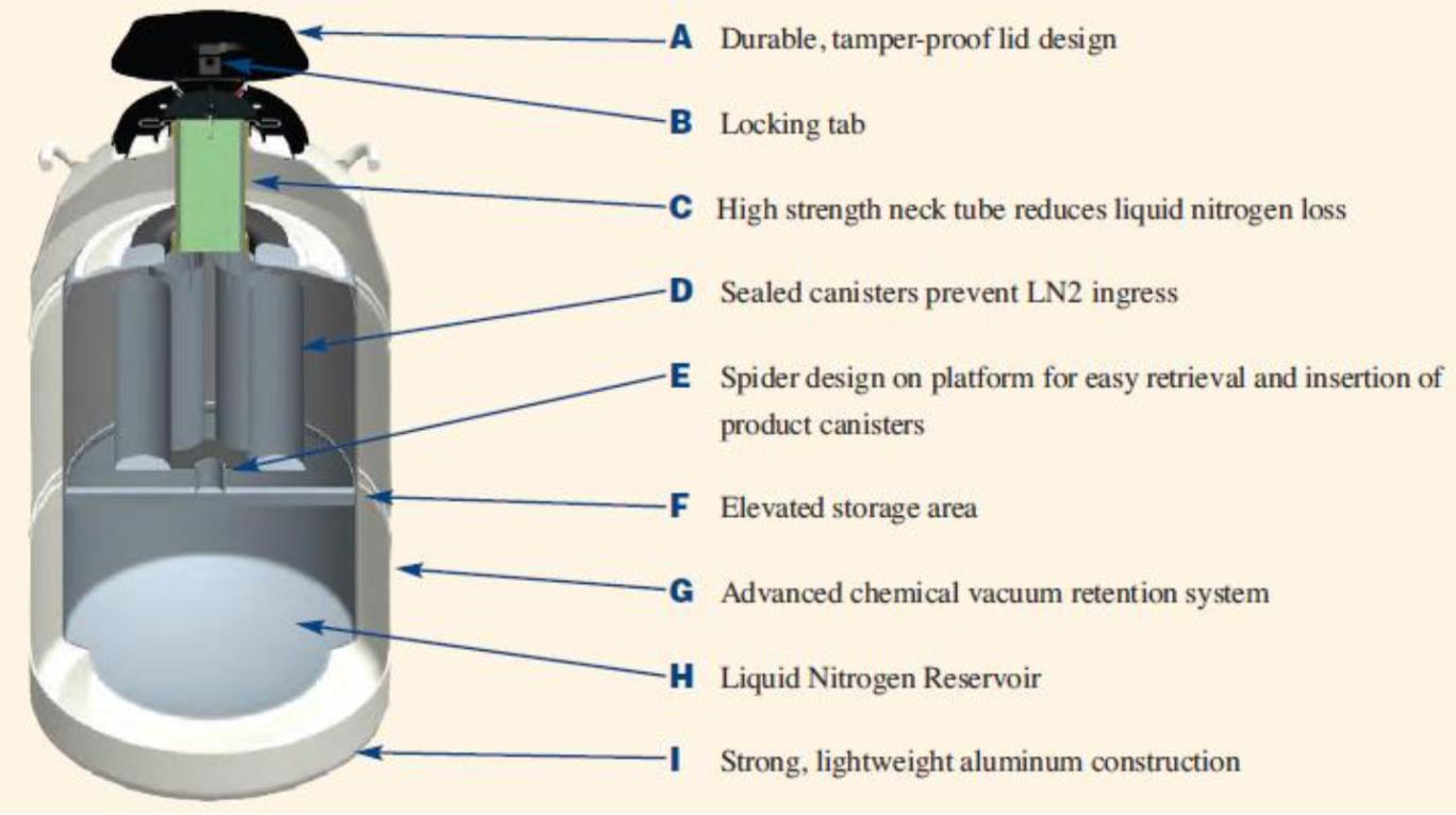 新款氣相液氮罐