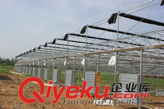 供應第五代溫室大棚建設原始圖片2