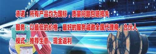陽谷電纜廠