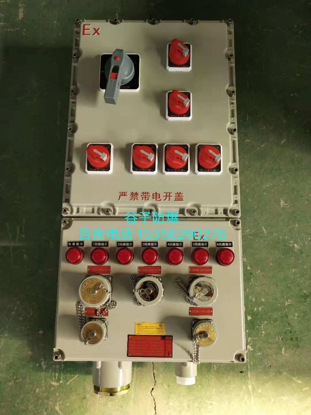 BXM51-T防爆配电箱 电动阀门防爆控制柜 防爆插座箱