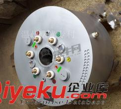 WSZK無刷液阻真空電機起動器