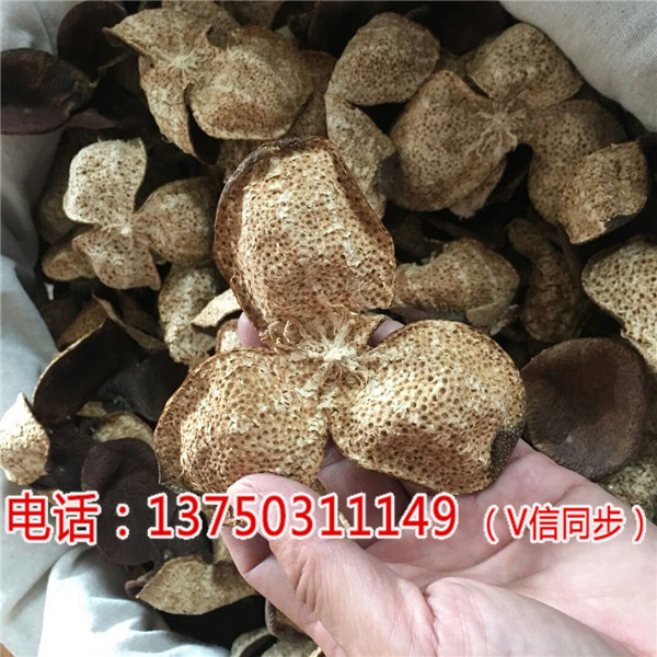 sd品牌sd品牌御廣陳2017年新會陳皮價格多少一斤%【九江