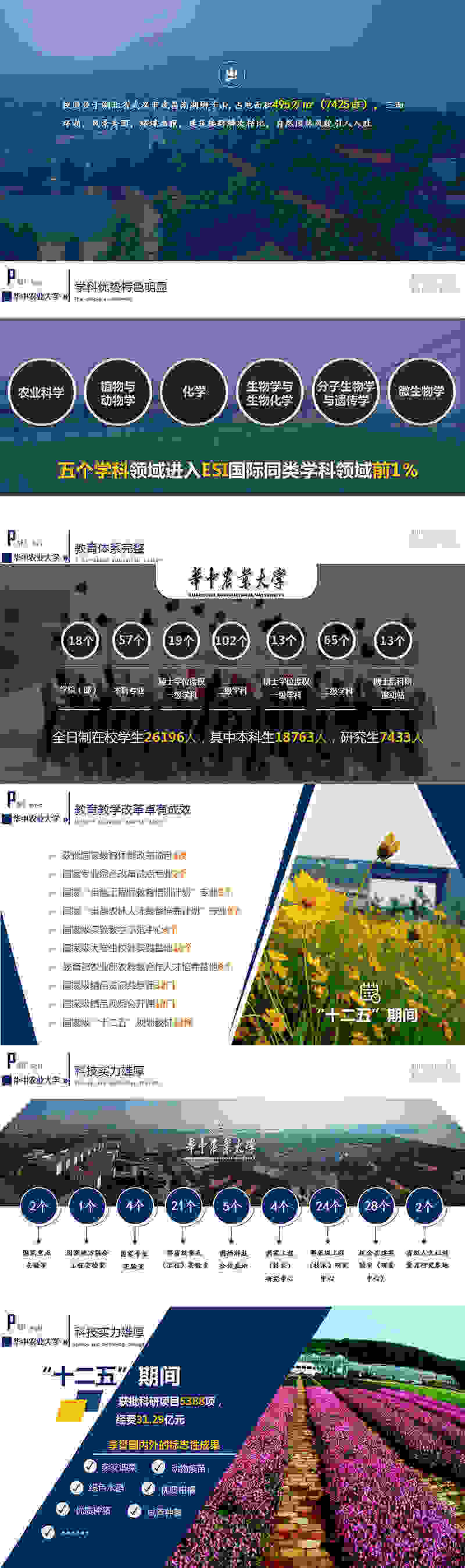上海報獎評比PPT制作多少錢？原始圖片2