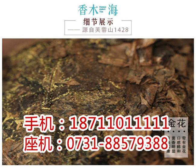 網上購買安化黑茶_長沙哪里買安化黑茶_湖南省香木海茶業有限公