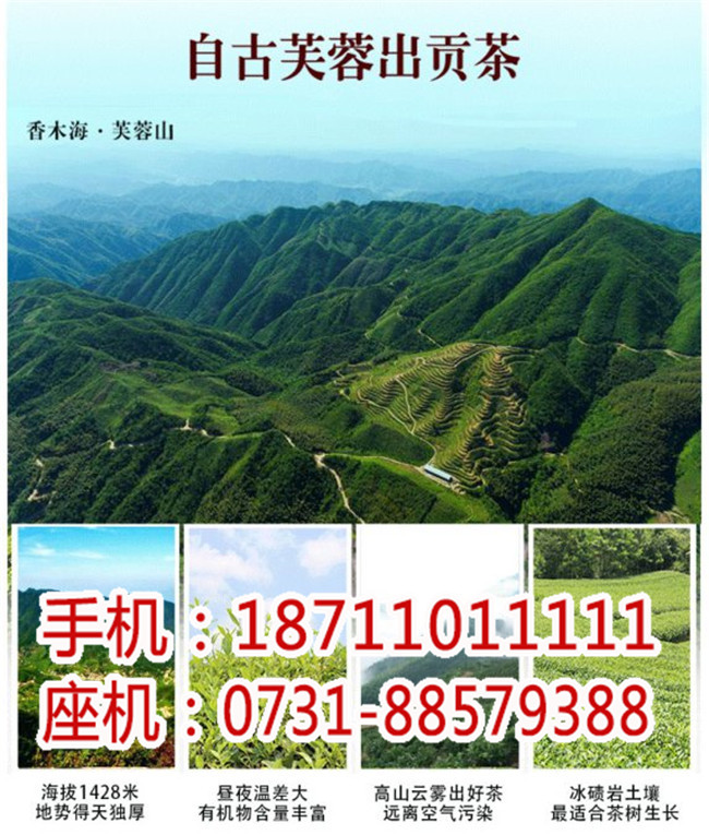 春節禮品茶定做廠家_高橋黑茶批發城_湖南省香木海茶業有限公司