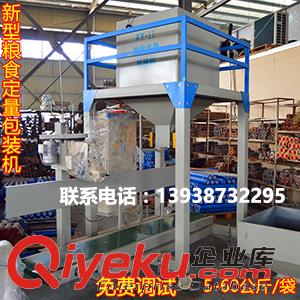 化工顆粒包裝機 5-60公斤定量打包機 自動下料裝袋 速度快 30噸/h原始圖片2