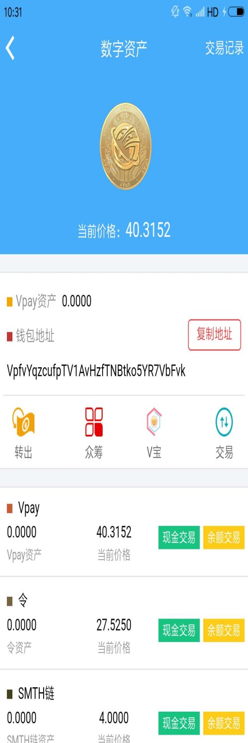 哪里有Vpay