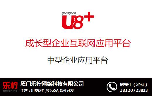 龍巖用友軟件、樂檸、用友軟件定做