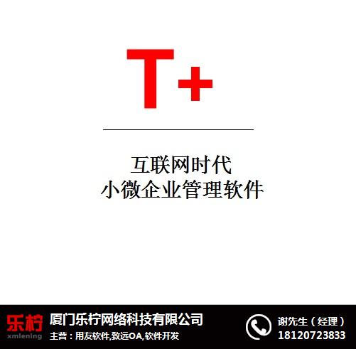 用友軟件多少錢、漳州用友軟件、樂檸(查看)