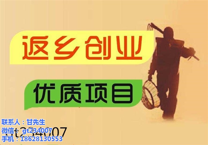 新能源科技有限公司、返乡创业、返乡创业低门槛项目