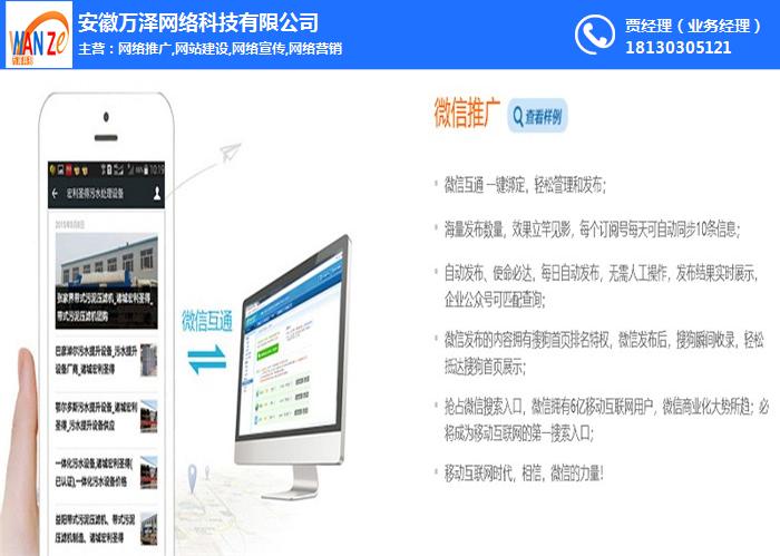 安徽万泽(在线咨询)_网站推广_网站推广报价