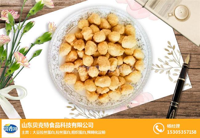 就选贝克特食品(图)|山东大豆蛋白|大豆蛋白