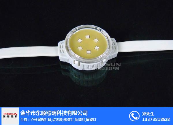 點(diǎn)光源|東順照明【戶外亮化專家】(在線咨詢)|點(diǎn)光源價(jià)格