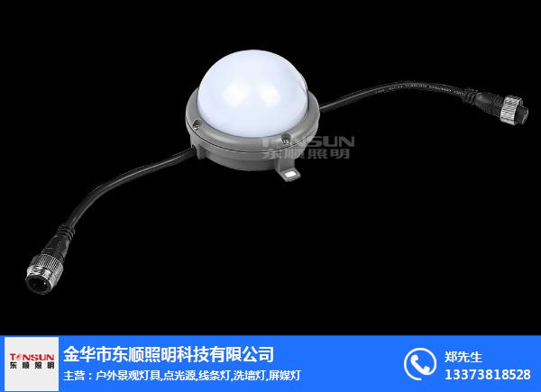 东顺照明【专业厂家】(多图)、LED点光源厂商、点光源