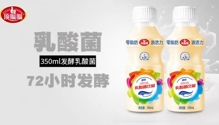 商超乳酸菌饮品350ml太原加盟