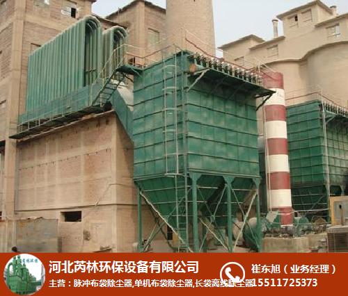 芮林環保,雙桶脈沖布袋除塵器多少錢,脈沖布袋除塵器多少錢