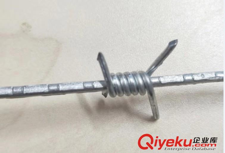 廠家直銷刺繩監(jiān)獄護(hù)欄網(wǎng)-鐵蒺藜防護(hù)網(wǎng)原始圖片3