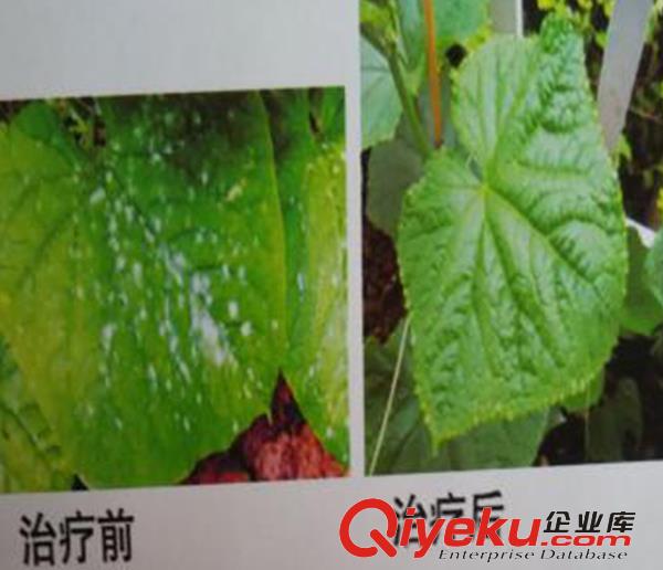 葉面肥