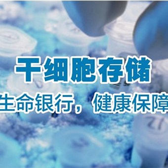 天津干細(xì)胞、間充質(zhì)干細(xì)胞臨床、盛世利眾生物