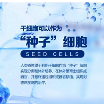 河北干細胞,盛世利眾生物,間充質干細胞臨床