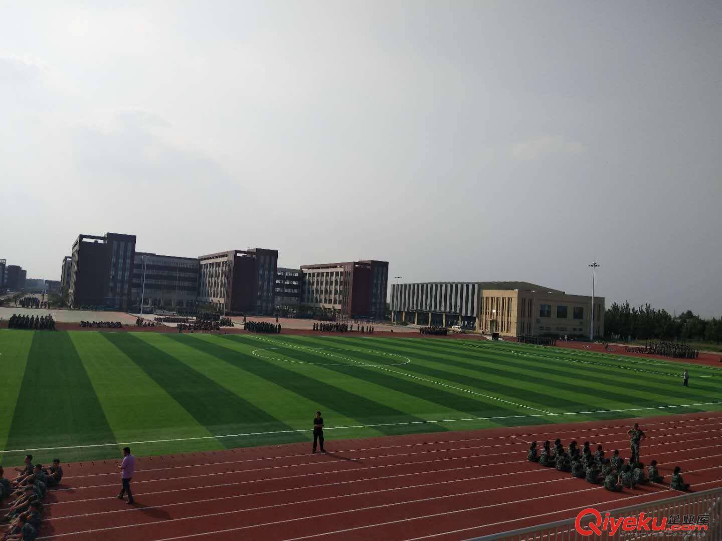 供應(yīng)山東夏津草坪鋪設(shè)原始圖片3