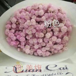 知名鲜花种植公司