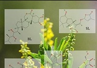 南京检测机构选择维百瑞生物南京检测机构，誉证