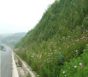 生態(tài)邊坡防護(hù)