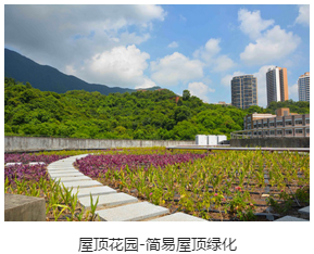 屋頂花園-簡易屋頂綠化