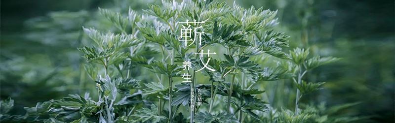 青花瓷艾灸养生馆，青花瓷一站式的青花瓷艾灸养生馆