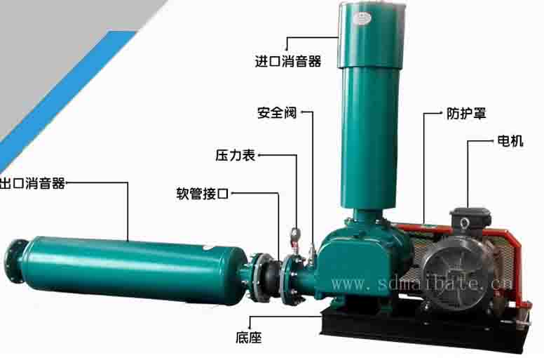 厂家直销 三叶罗茨风机 风机 回转式风机 低噪音三叶罗茨风机