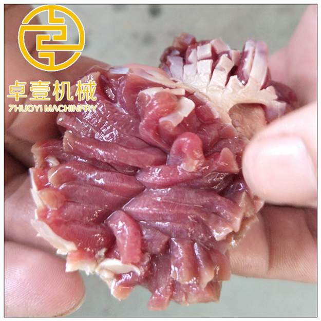 山東卓壹大型雞胸肉鴨胸肉切丁機(jī) 商用魚肉切丁機(jī)不銹鋼山藥切條機(jī)